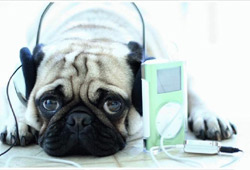 musique